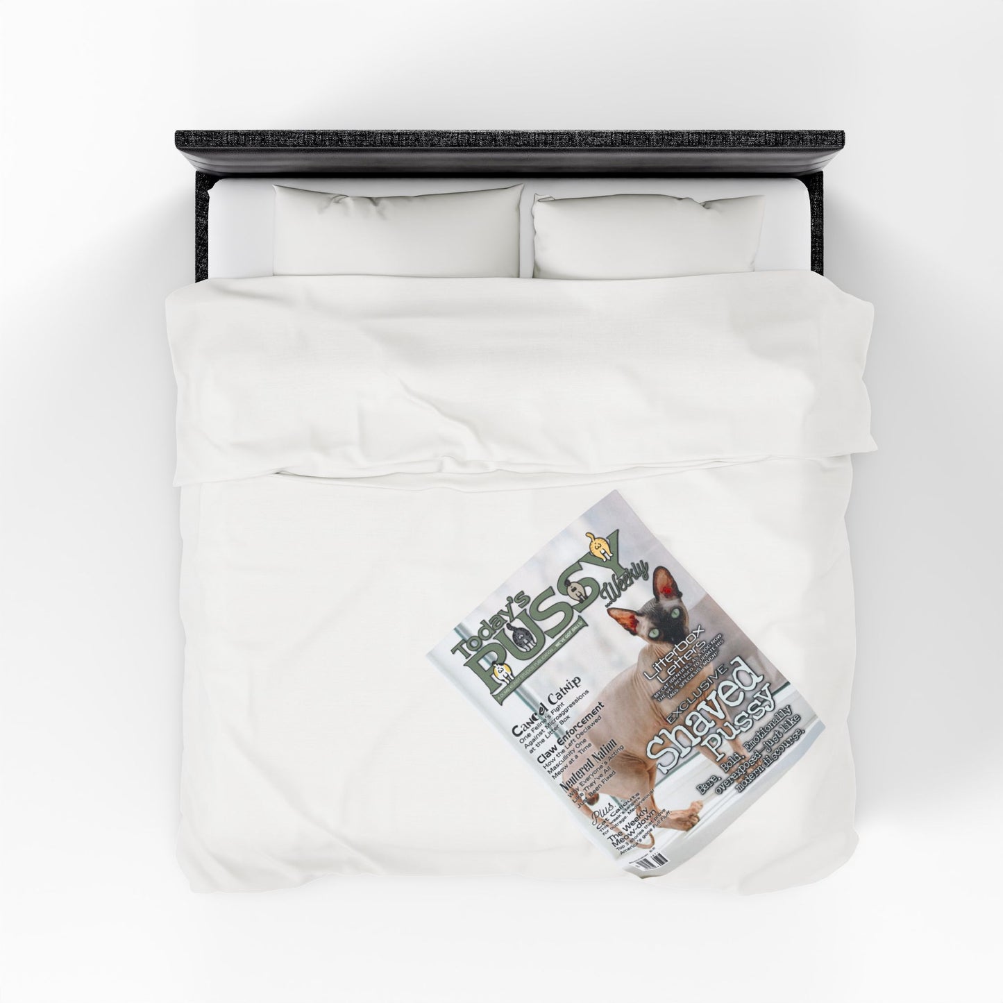 DK230: Today's Pussy... Weekly (Shaved Pussy Edition) - Velveteen Plush Blanket