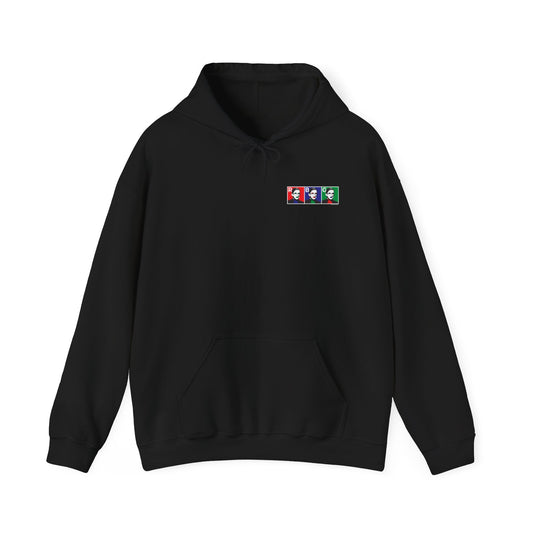 DK10: RBG in RGB - Adult Hooded Sweatshirt