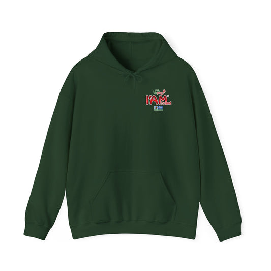 DK228: Free After Purchase - Adult Hooded Sweatshirt