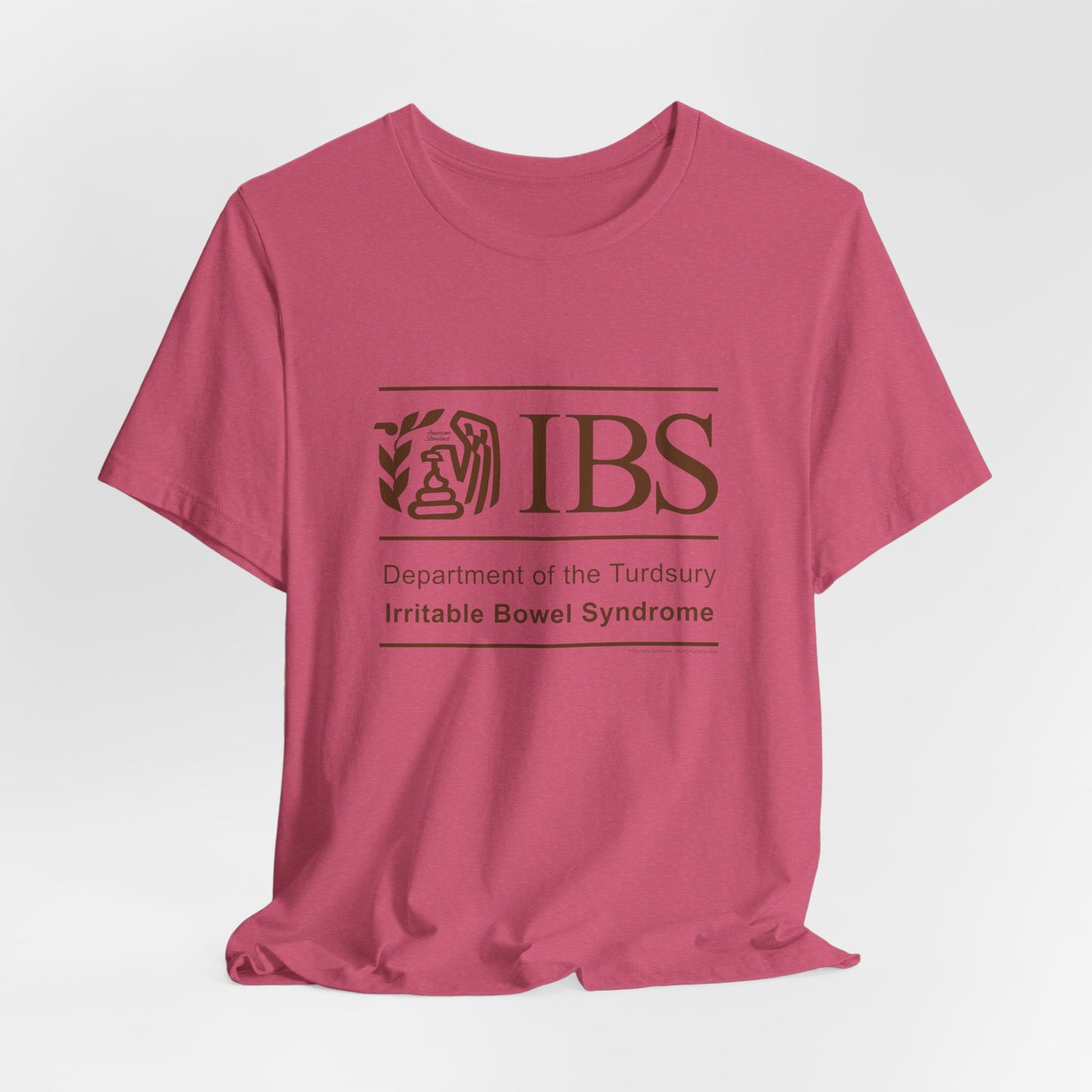 DK71: Dept. of Turdsury's IBS - Unisex S/S T-Shirt