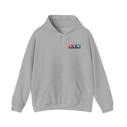 DK10: RBG in RGB - Adult Hooded Sweatshirt