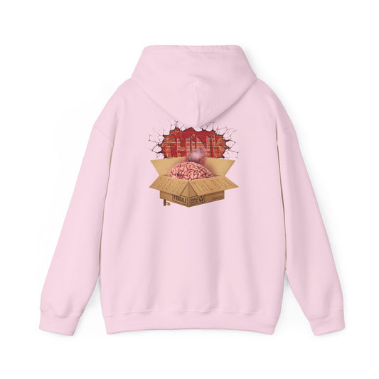 DK194: Think Outside The Box - Adult Hooded Sweatshirt