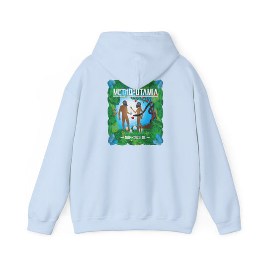 DK212: Methopotamia - Adult Hooded Sweatshirt