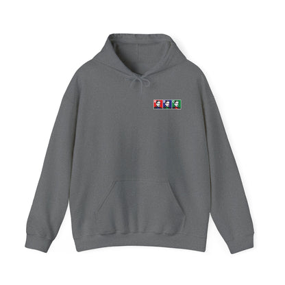 DK10: RBG in RGB - Adult Hooded Sweatshirt