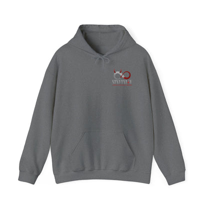 DK137: Sinfinty - Adult Hooded Sweatshirt
