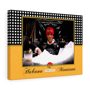 DK29: Habana Montana - Gallery Wrapped Canvas